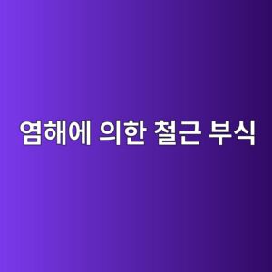 염해에 의한 철근 부식 메커니즘 4 ec97bced95b4ec9790 ec9d98ed959c ecb2a0eab7bc ebb680ec8b9d 1786016208