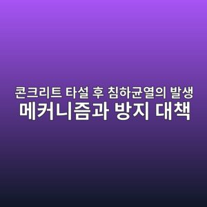 콘크리트 타설 후 침하균열의 발생 메커니즘과 방지 대책 6 ecbd98ed81aceba6aced8ab8 ed8380ec84a4 ed9b84 ecb9a8ed9598eab7a0ec97b4ec9d98 ebb09cec839d eba994ecbba4eb8b88eca698eab3bc ebb0a9eca780 1786861601
